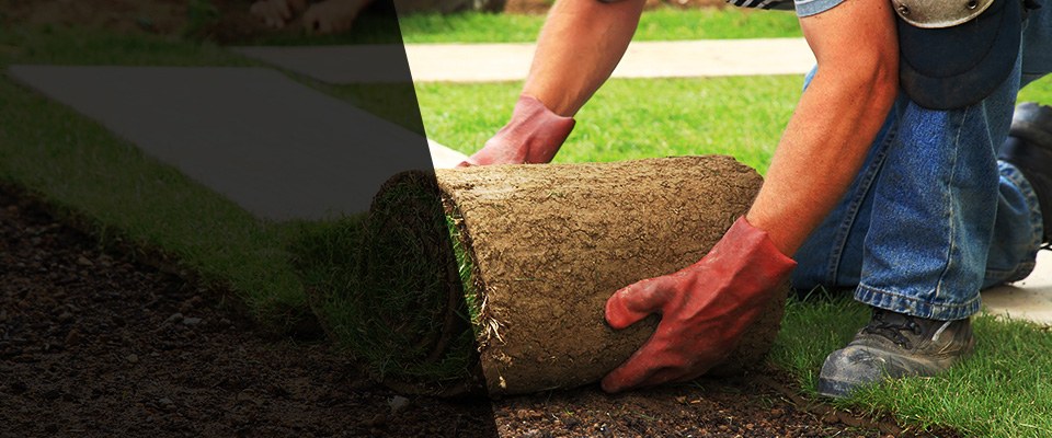 Charlton Landscapers